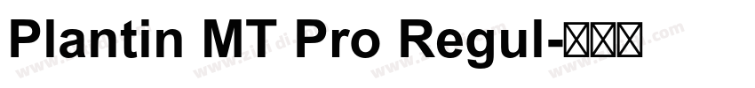 Plantin MT Pro Regul字体转换